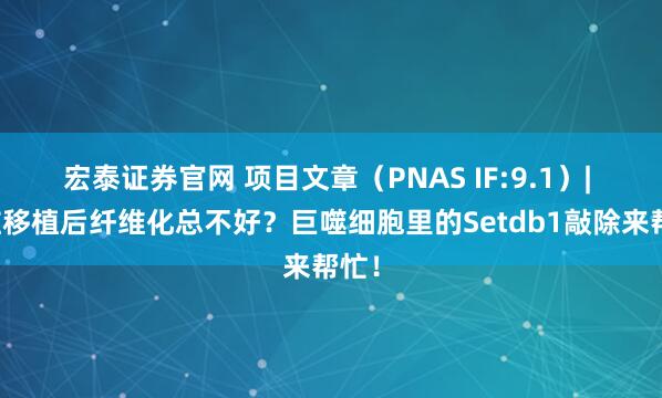 宏泰证券官网 项目文章（PNAS IF:9.1）| 心脏移植后纤维化总不好？巨噬细胞里的Setdb1敲除来帮忙！