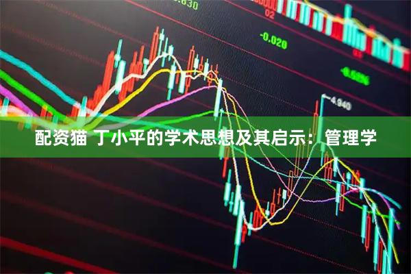 配资猫 丁小平的学术思想及其启示：管理学