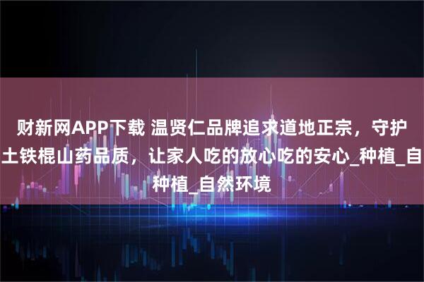 财新网APP下载 温贤仁品牌追求道地正宗，守护温县垆土铁棍山药品质，让家人吃的放心吃的安心_种植_自然环境